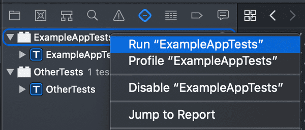Xcode UI with the 'Run example app tests' menu item selected